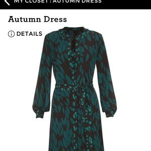 Cabi Autumn dress - 2- piece!